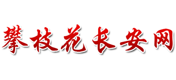 攀枝花长安网logo,攀枝花长安网标识