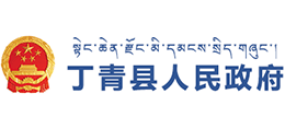 西藏丁青县人民政府logo,西藏丁青县人民政府标识