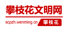 四川攀枝花文明网logo,四川攀枝花文明网标识